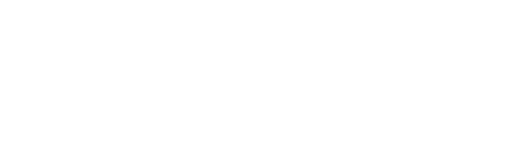 David Sawyer wordmark logo (white)